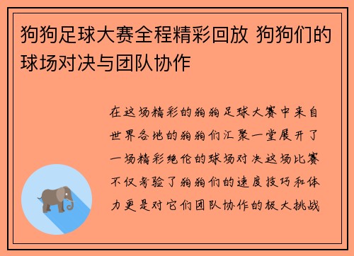 狗狗足球大赛全程精彩回放 狗狗们的球场对决与团队协作