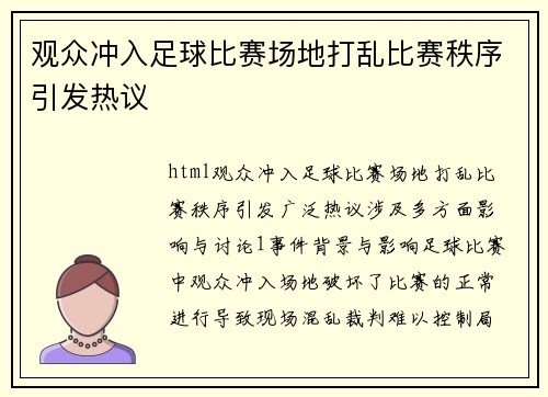 观众冲入足球比赛场地打乱比赛秩序引发热议