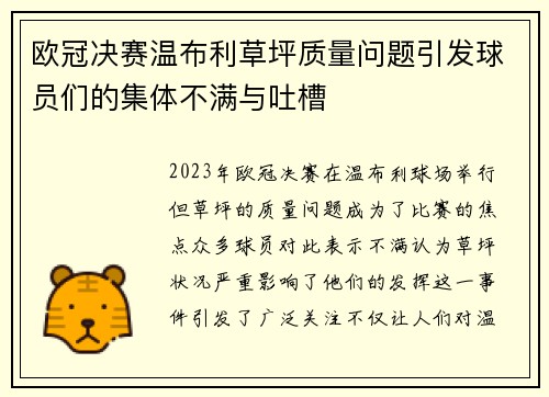 欧冠决赛温布利草坪质量问题引发球员们的集体不满与吐槽